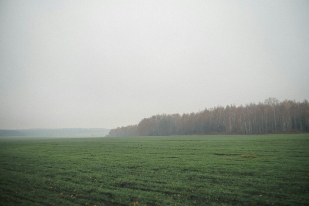 Turaska landscape nature
