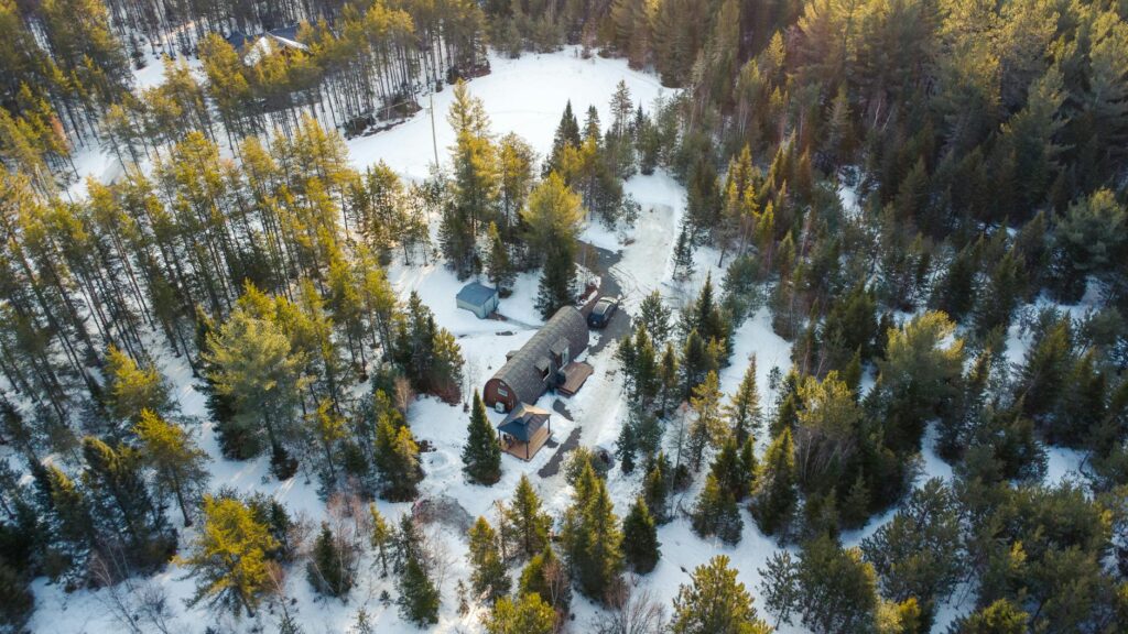 Alexis Bledel actress