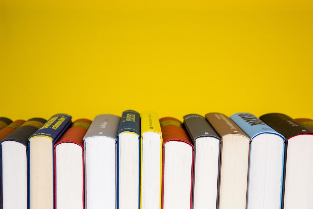 Afro literature books
