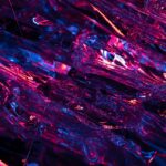 Betty Sue Palmer abstract art