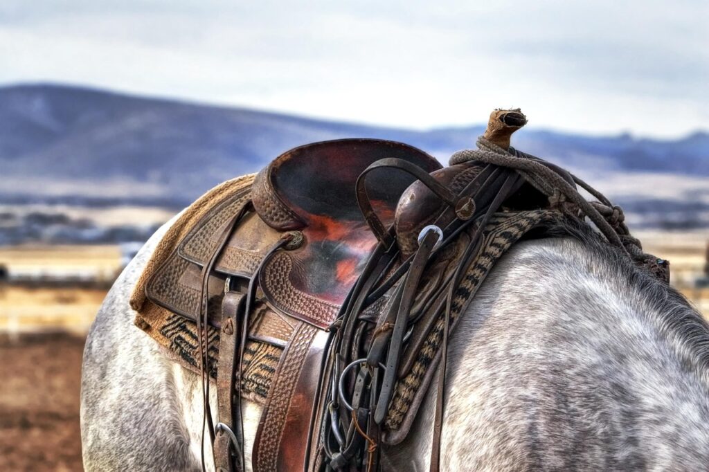 Brandon Blackstock Montana ranch