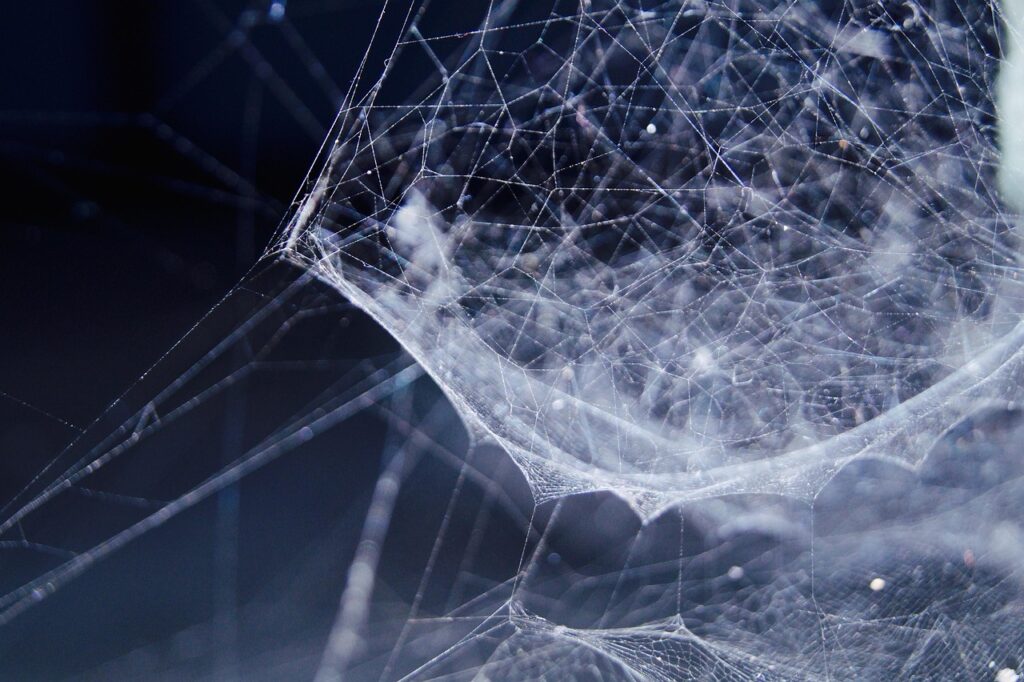 complex systems network
