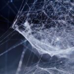 complex systems network
