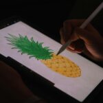 digital art supplies budget