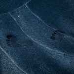 digital footprint analysis