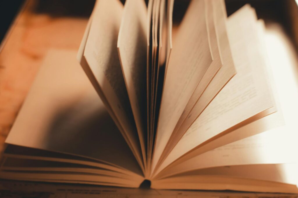 Discover the Best African Authors to Read in 2026