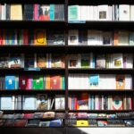 diverse book covers afro literature