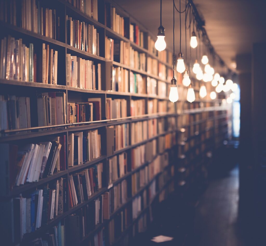 diverse books shelf