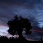 father and child silhouette
