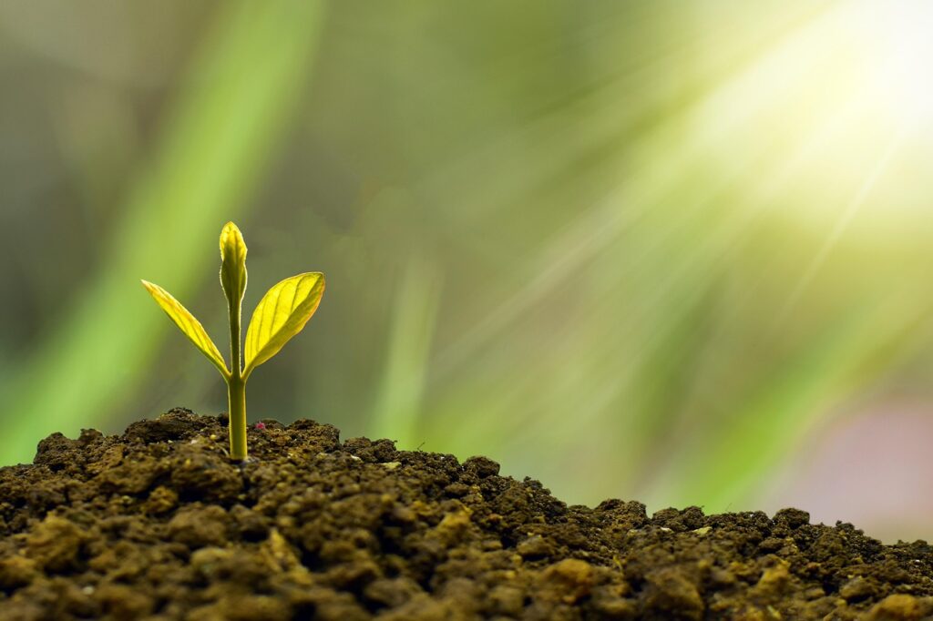 financial freedom strategy
