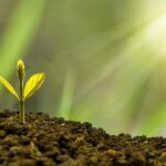 financial freedom strategy