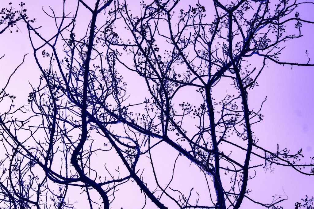 five interconnected elements concept