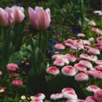 garden spring shoots