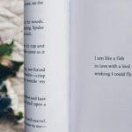 Ty Halton poetry book