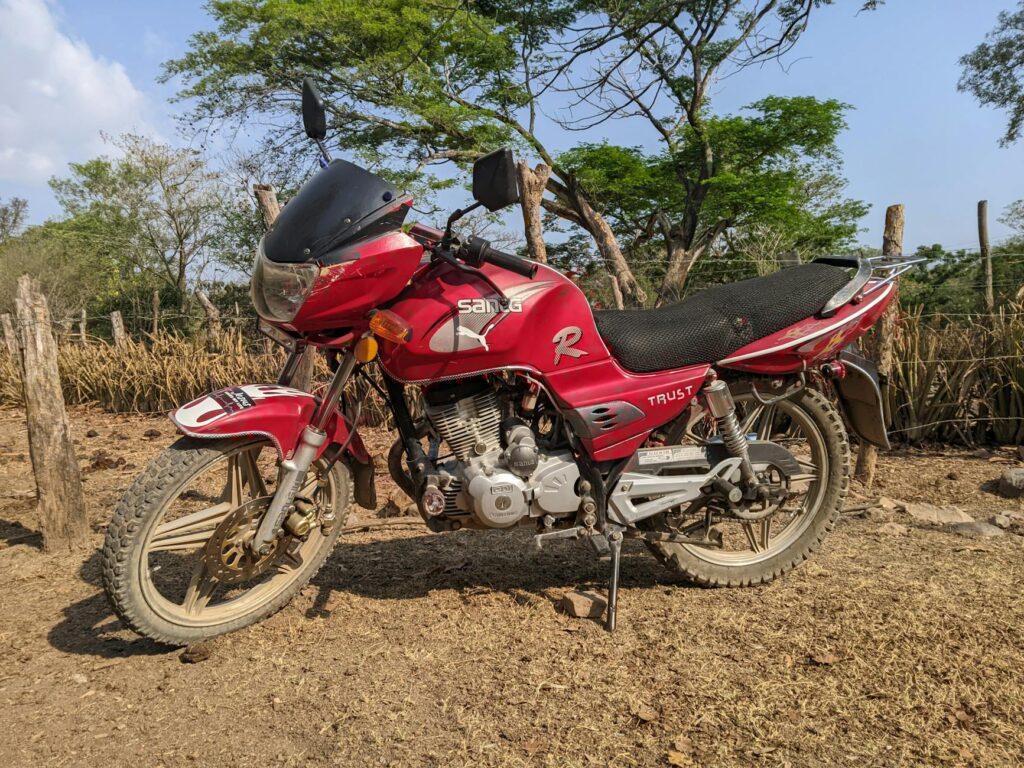 izuka hoyle portrait