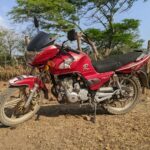 izuka hoyle portrait