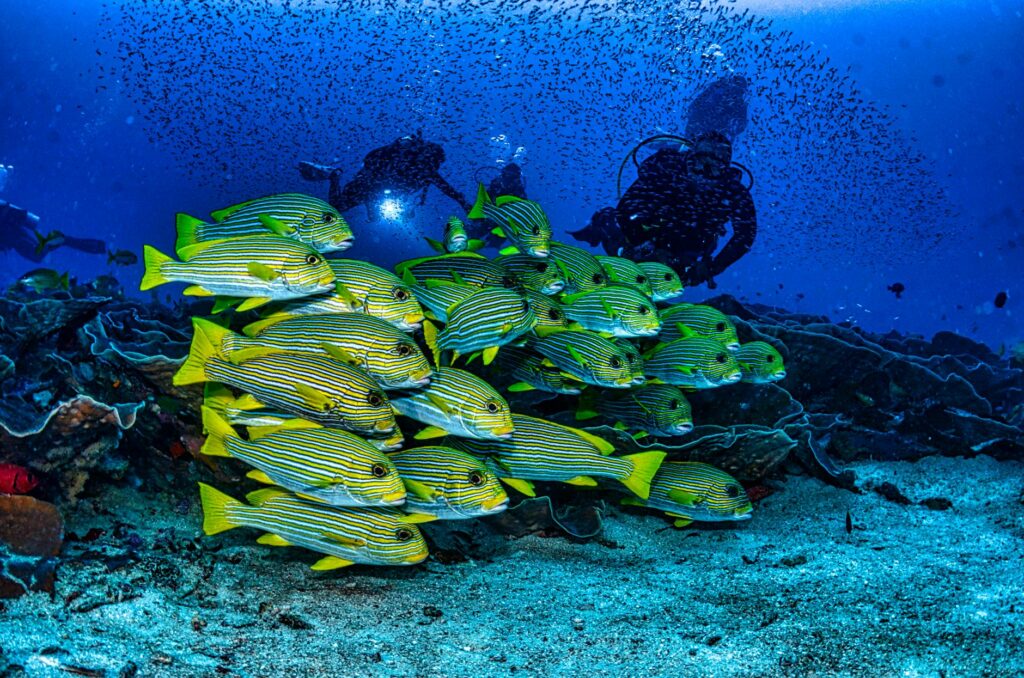 Kanye West Bianca Censori public appearance