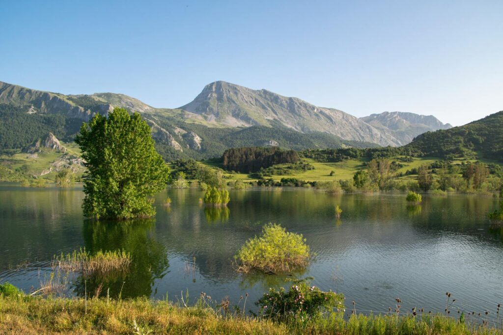 Leon Trotsky portrait