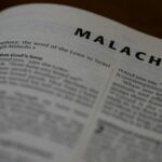 Malachi Ross portrait