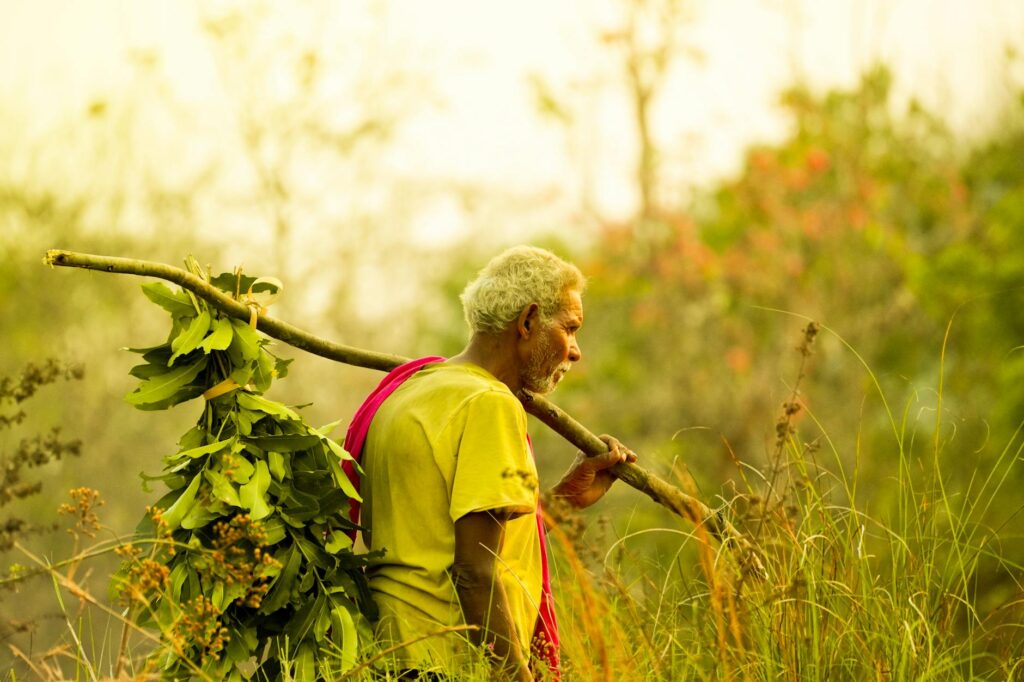 man in nature contemplating