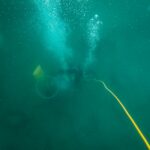 Martins Deep artwork pillow