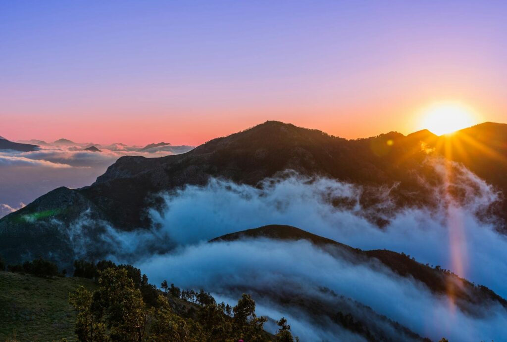 Mila Volovich abstract art