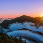 Mila Volovich abstract art