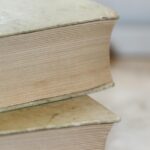 professional writer submitting manuscript