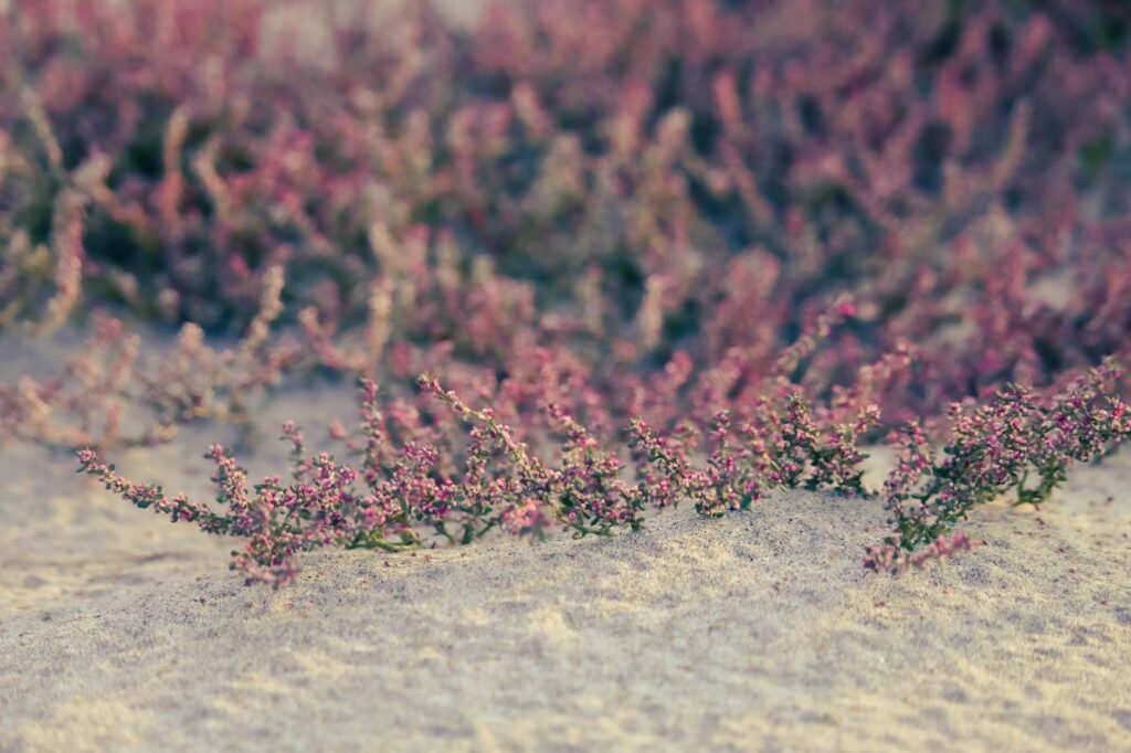 Sandy Mahl sculpture detail