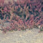 Sandy Mahl sculpture detail