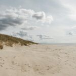 sandy togsvig artwork