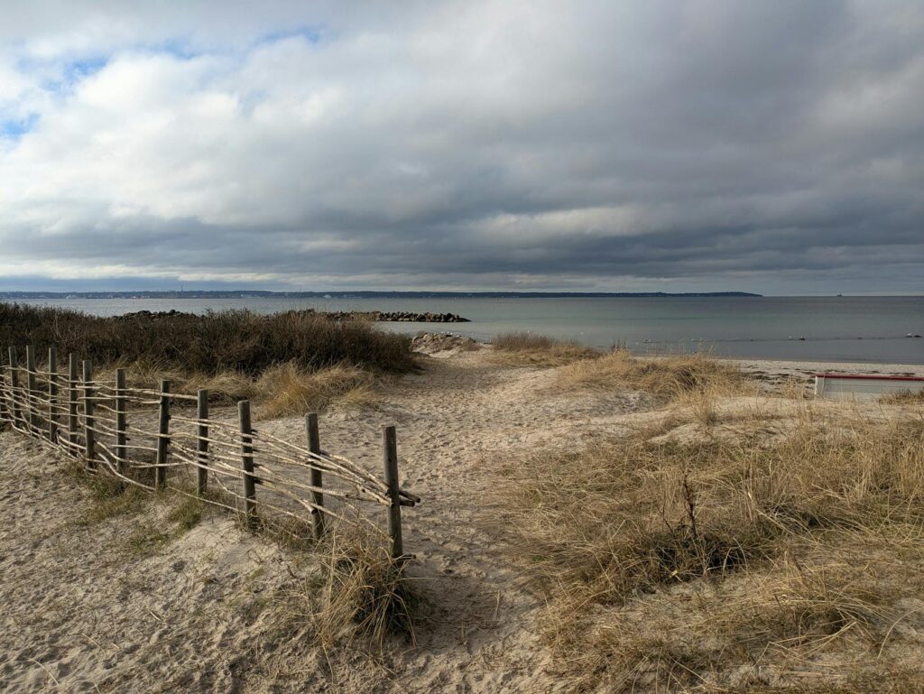 Sandy Togsvig artwork