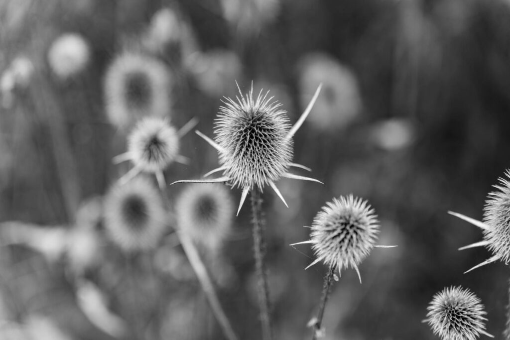 Sean Diddy Combs court