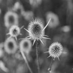 Sean Diddy Combs court