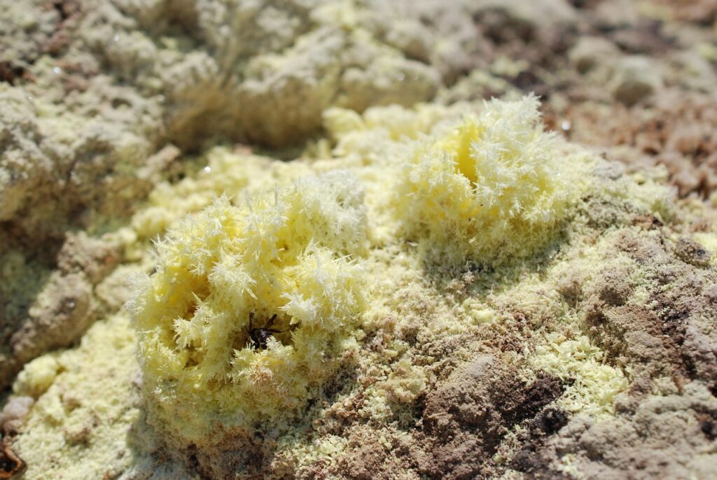 sulfur dioxide molecule structure