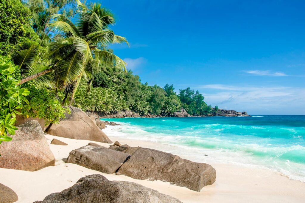 tropical beach budget