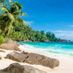 tropical beach budget