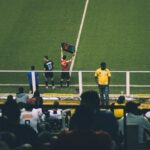 vipbox sports streaming