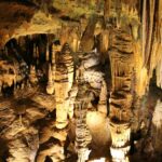 Virginia Giuffre portrait