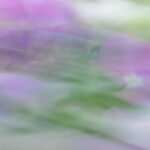 whimsical digital art