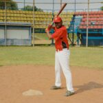 baseball farm system diagram