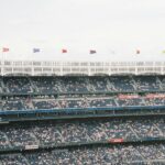 baseball stadium crowd cheering