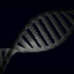 DNA helix in courtroom
