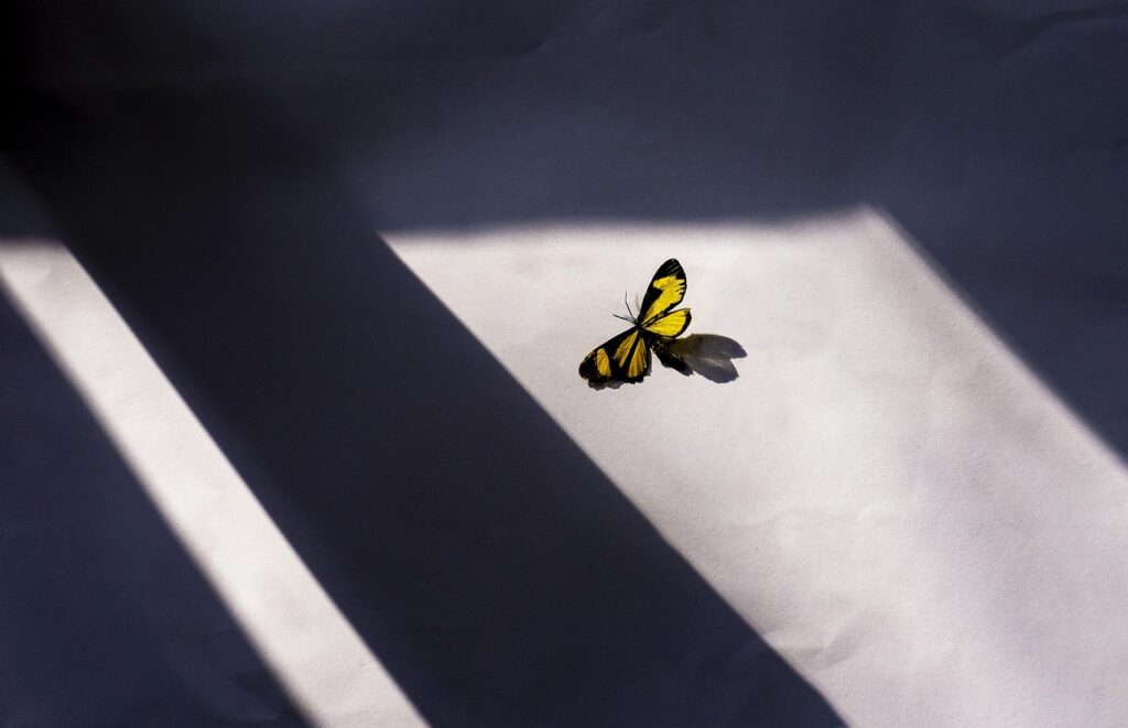 dramatic light shadow photography