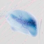 ethical AI brain network