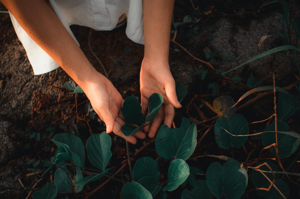 nature nurture brain chromosomes