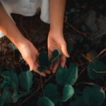 nature nurture brain chromosomes