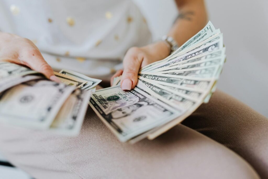 niche blogger income