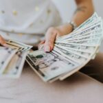 niche blogger income