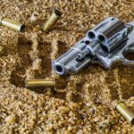 psychopathy violent crime